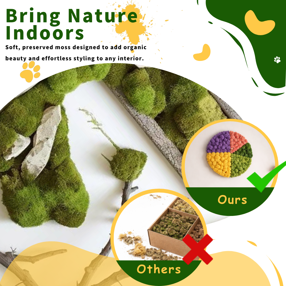 Preserved Reindeer Moss Bulk Box – Orange
