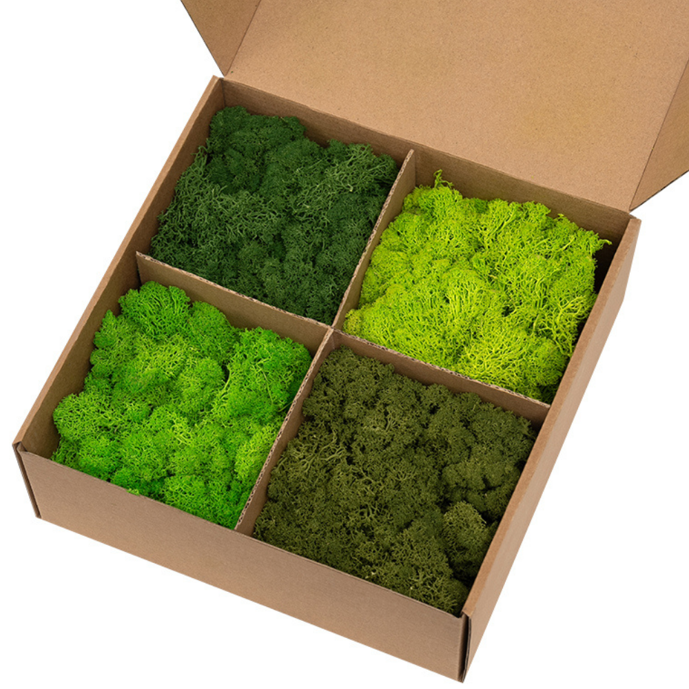 Zencewell Preserved Reindeer Moss 400g/14oz – Decorative Moss for Crafts & Terrariums