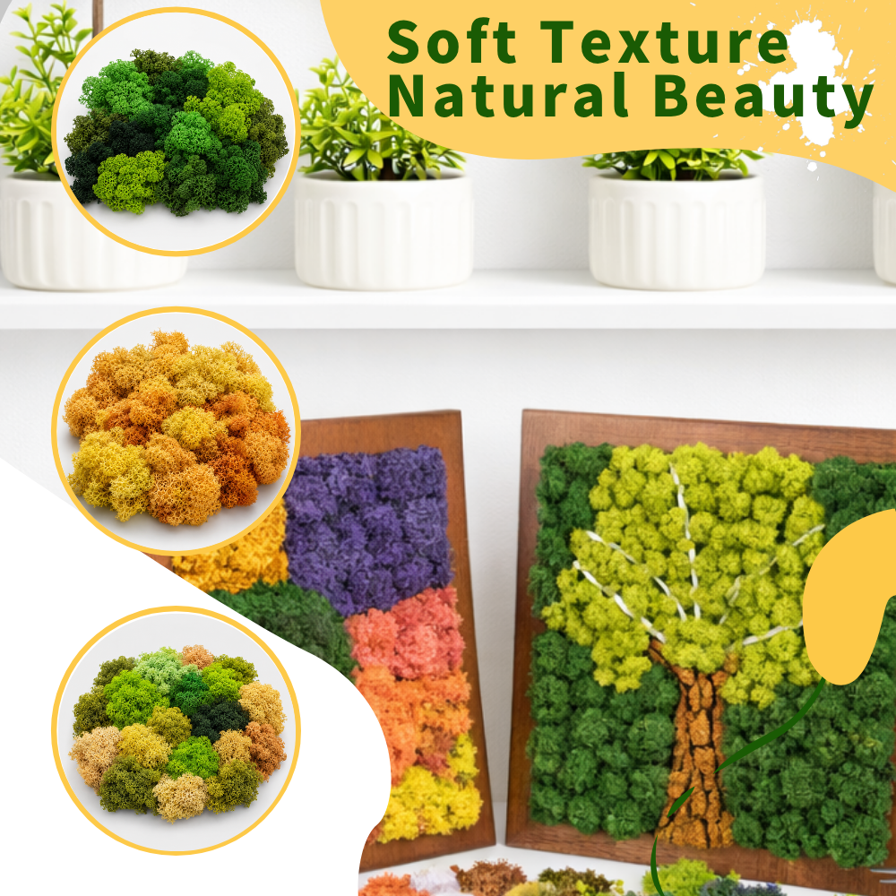 Preserved Reindeer Moss Bulk Box – Orange