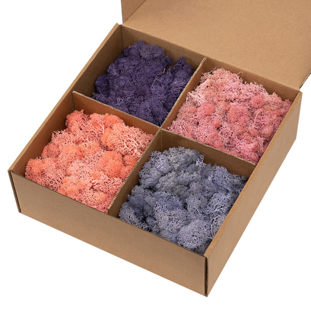Zencewell Preserved Reindeer Moss 400g/14oz – Decorative Moss for Crafts & Terrariums