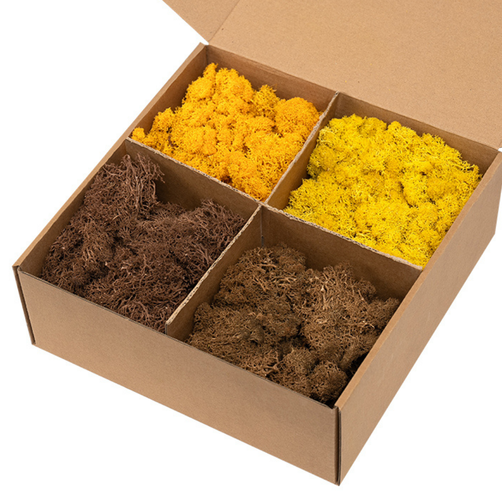 Zencewell Preserved Reindeer Moss 400g/14oz – Decorative Moss for Crafts & Terrariums