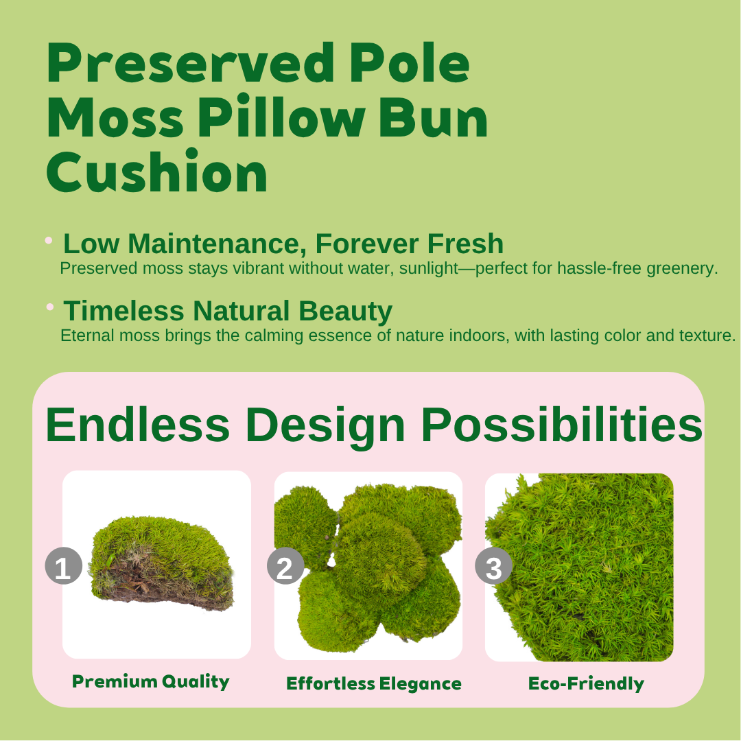 Zencewell Preserved Natural Moss for Crafts – Real Dried Moss for Terrariums, Moss Wall Art & DIY Décor