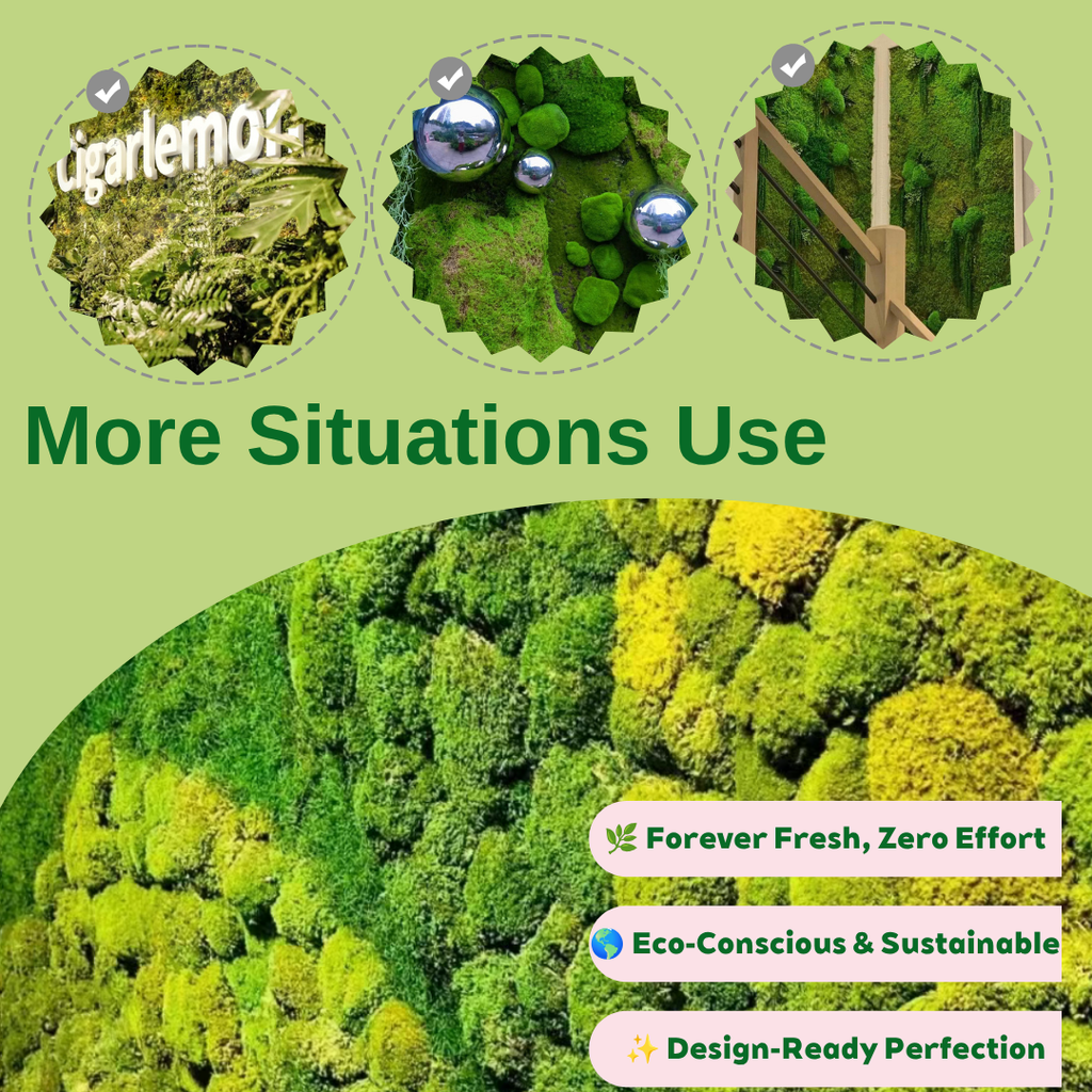 Zencewell Preserved Natural Moss for Crafts – Real Dried Moss for Terrariums, Moss Wall Art & DIY Décor