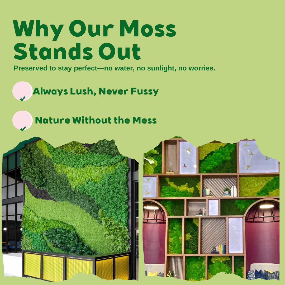 Zencewell Preserved Natural Moss for Crafts – Real Dried Moss for Terrariums, Moss Wall Art & DIY Décor