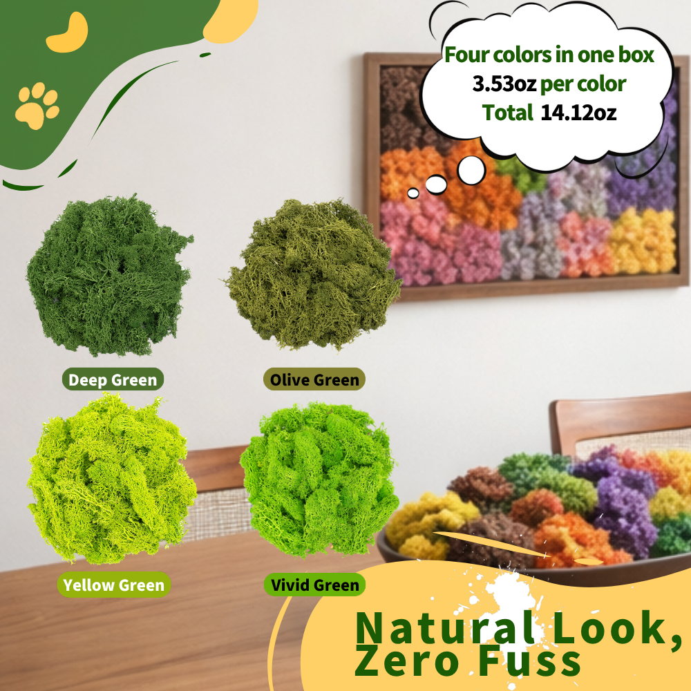 Zencewell Preserved Reindeer Moss 400g/14oz – Decorative Moss for Crafts & Terrariums