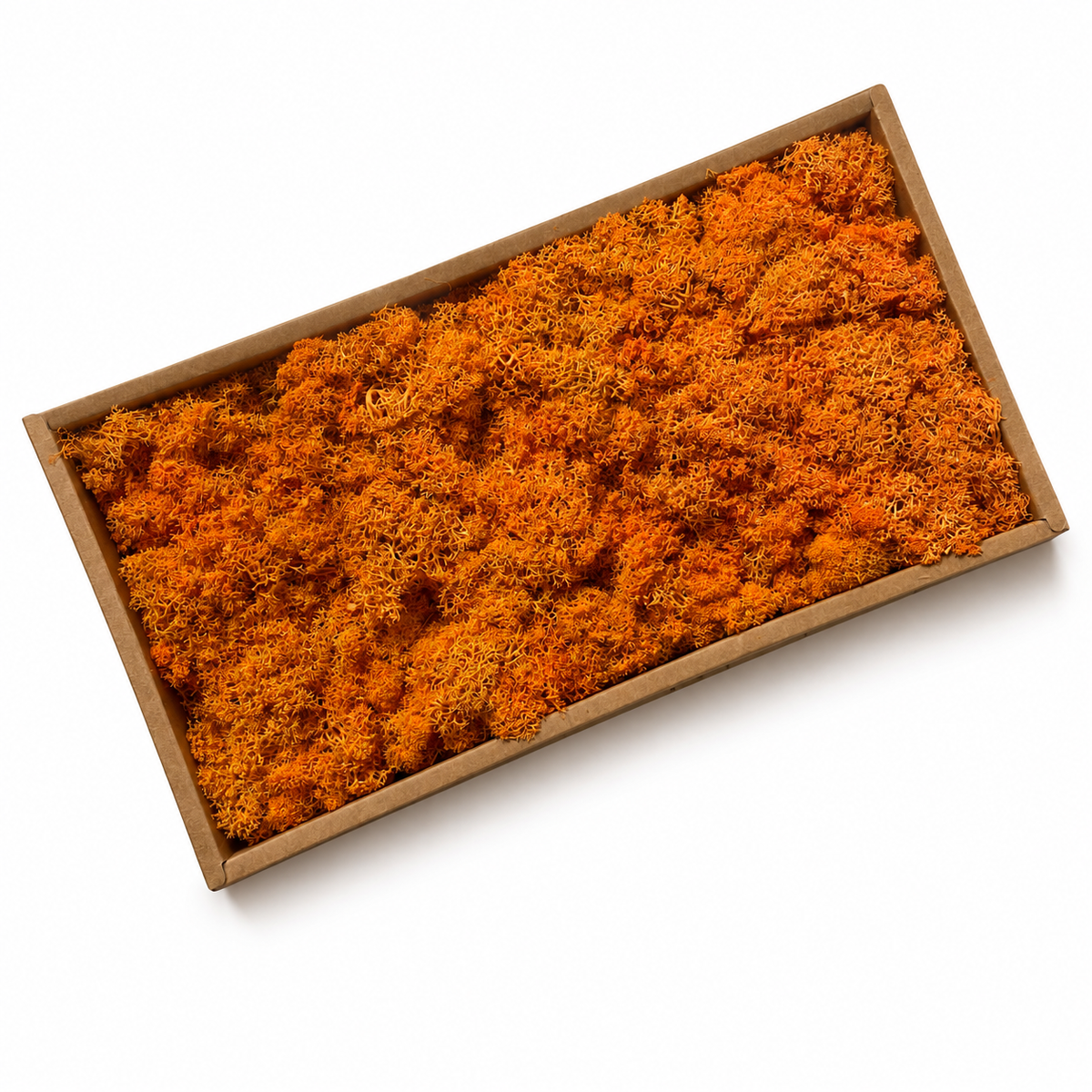 Zencewell Preserved Reindeer Moss – Orange Moss for Crafts, Terrariums, Moss Walls & Autumn Décor