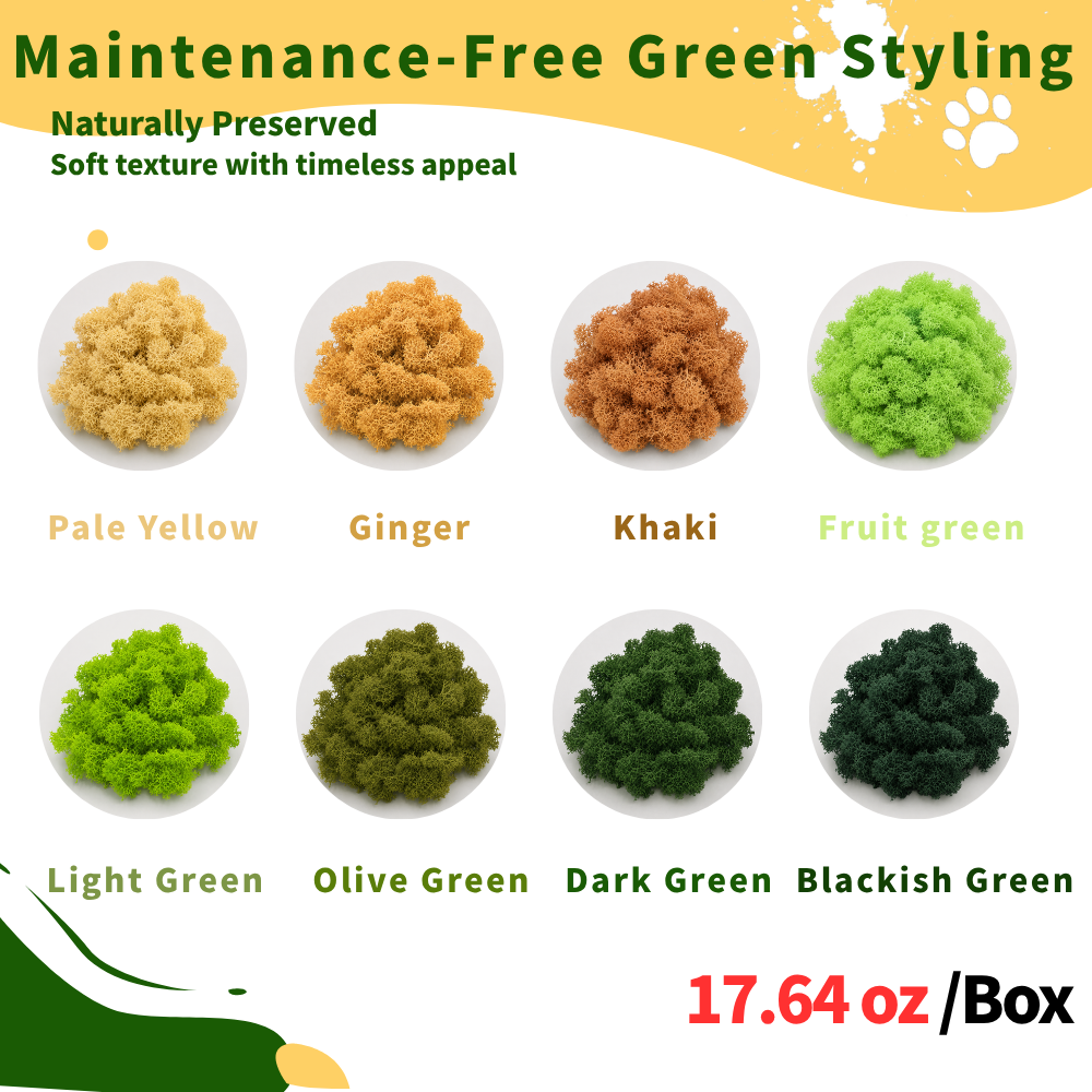 Preserved Reindeer Moss Bulk Box – Orange