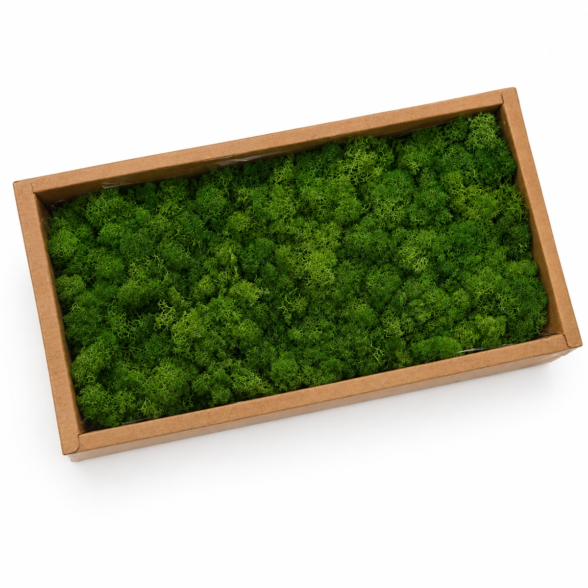 Zencewell Preserved Reindeer Moss – Natural Green Moss for Crafts, Terrariums, Moss Walls & DIY Décor