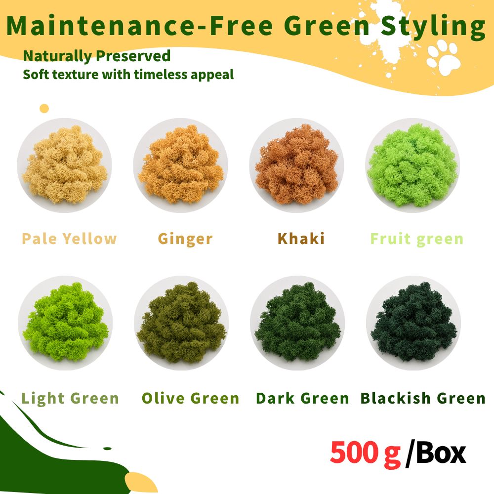 Preserved Reindeer Moss Bulk Box – Orange