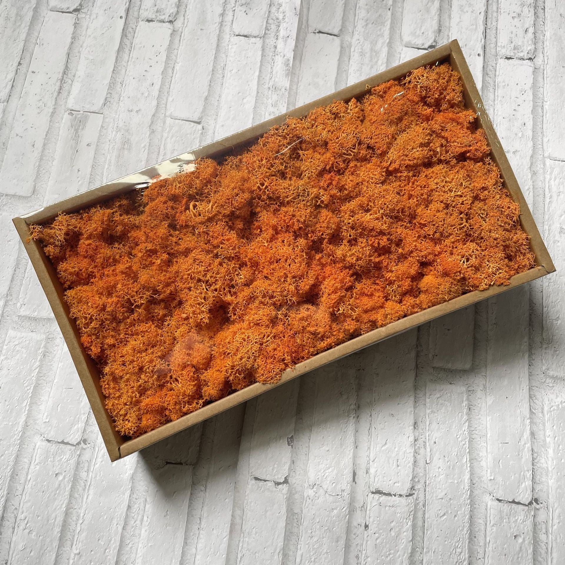Preserved Reindeer Moss Bulk Box – Ginger