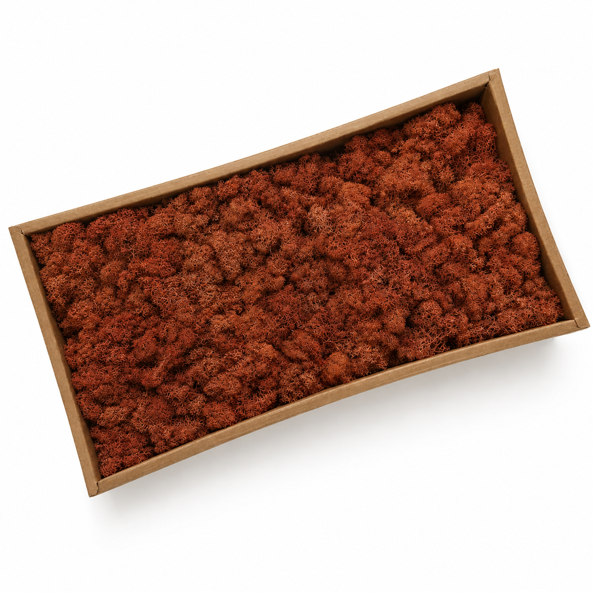 Zencewell Preserved Reindeer Moss – Orange Moss for Crafts, Terrariums, Moss Walls & Autumn Décor