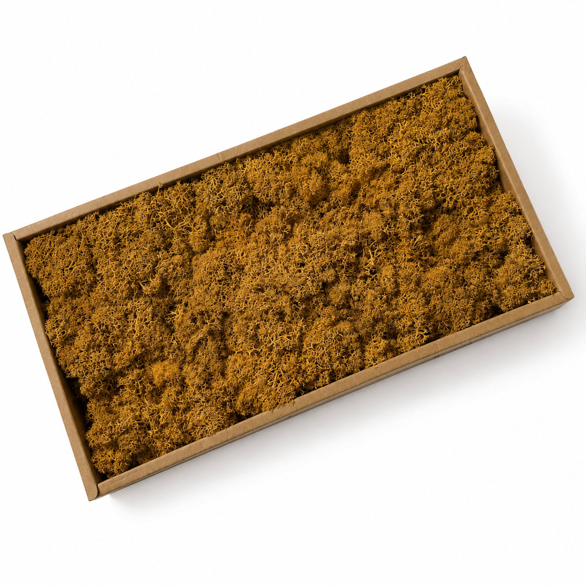 Zencewell Preserved Reindeer Moss – Orange Moss for Crafts, Terrariums, Moss Walls & Autumn Décor