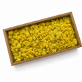 Zencewell Preserved Reindeer Moss – Yellow & White Moss for Crafts, Terrariums, Moss Walls & Decorative Displays