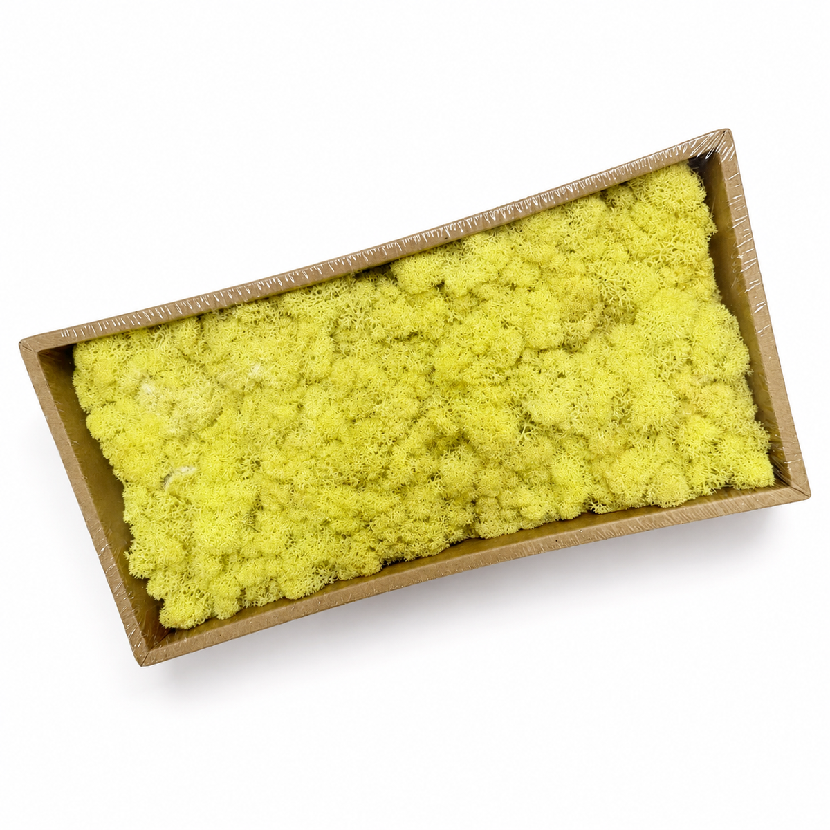 Zencewell Preserved Reindeer Moss – Yellow & White Moss for Crafts, Terrariums, Moss Walls & Decorative Displays
